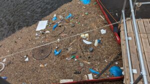 PXL_20240428_121859527