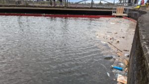 PXL_20240428_123351310.MP