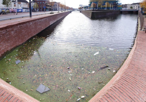 Delft project Thumbnail